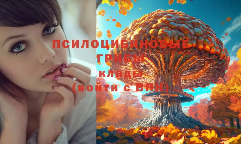 Псилоцибиновые грибы Magic Shrooms  где купить наркоту  Нефтегорск 